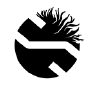 logo_pie_de_pagina-1-2