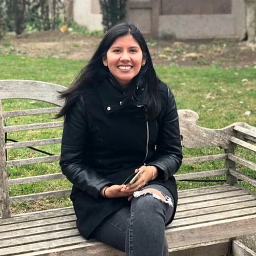 Claudia, Software architect